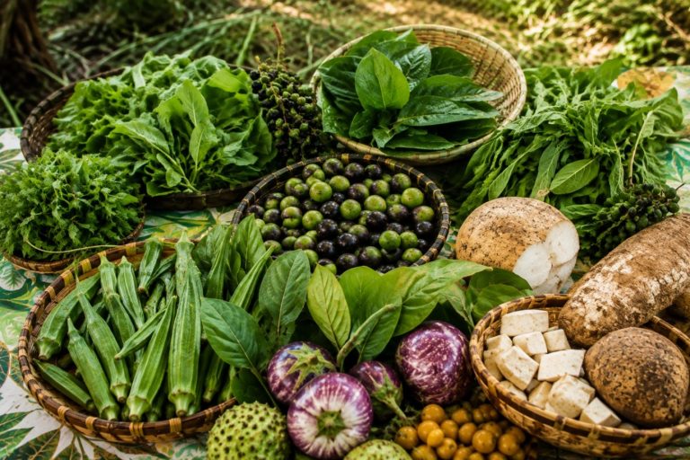 Qu’appelle-t-on « Plantes Alimentaires Non Conventionnelles » ?