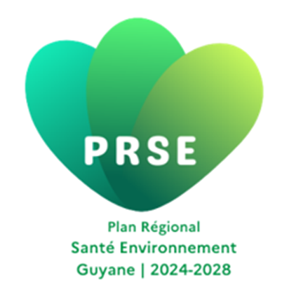 Le PAT de Saint-Laurent-du-Maroni s’inscrit dans le PRSE Guyane 2024-2028